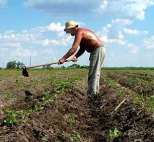 Agricultor