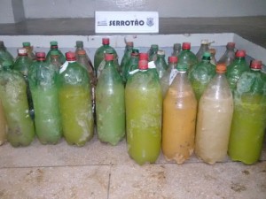 Cachaça Serrotão