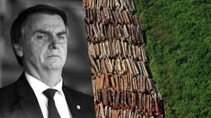 Bolsonaro e Mior Ambiente