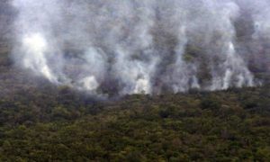 QUEIMADAS AMAZONIA